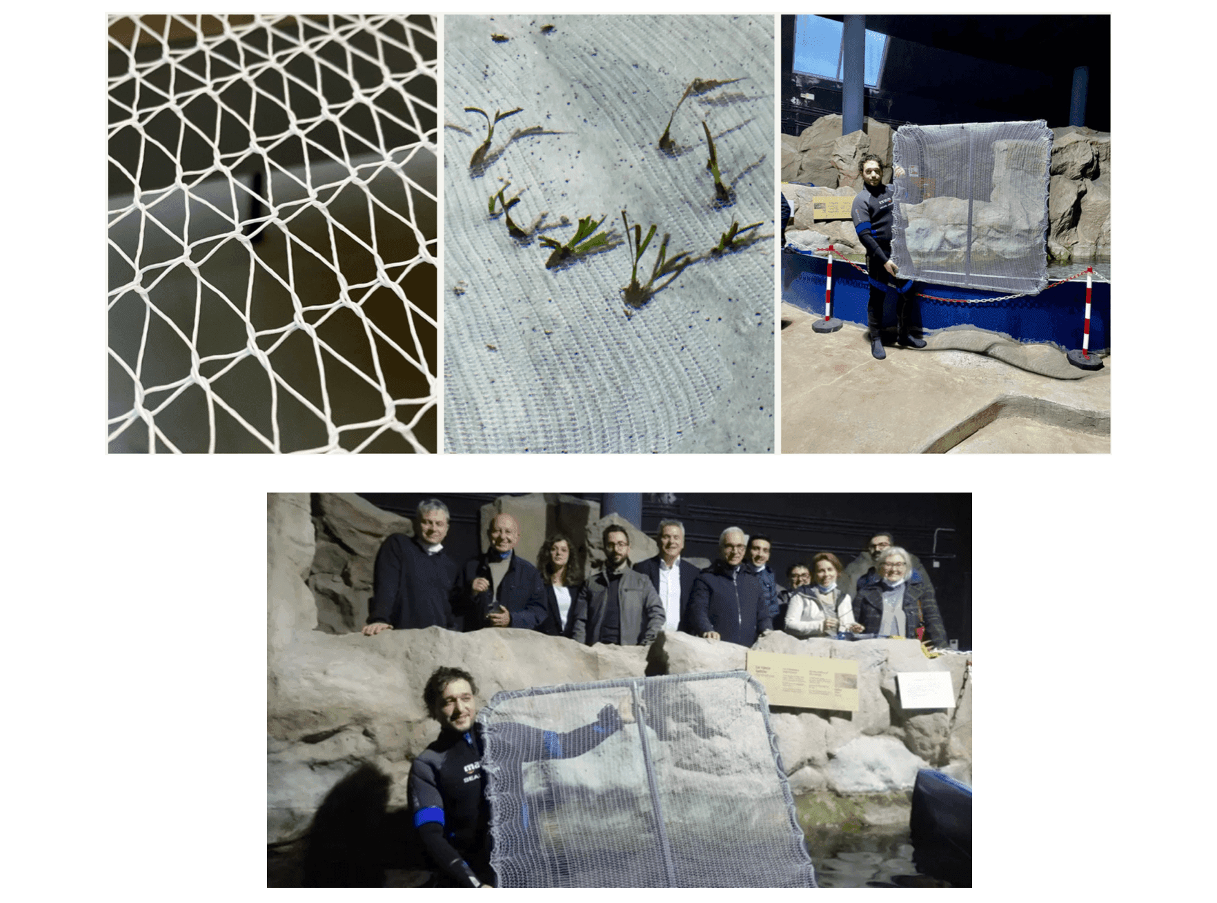 Biodegradable nets for sustainable restoration of Posidonia oceanica meadows