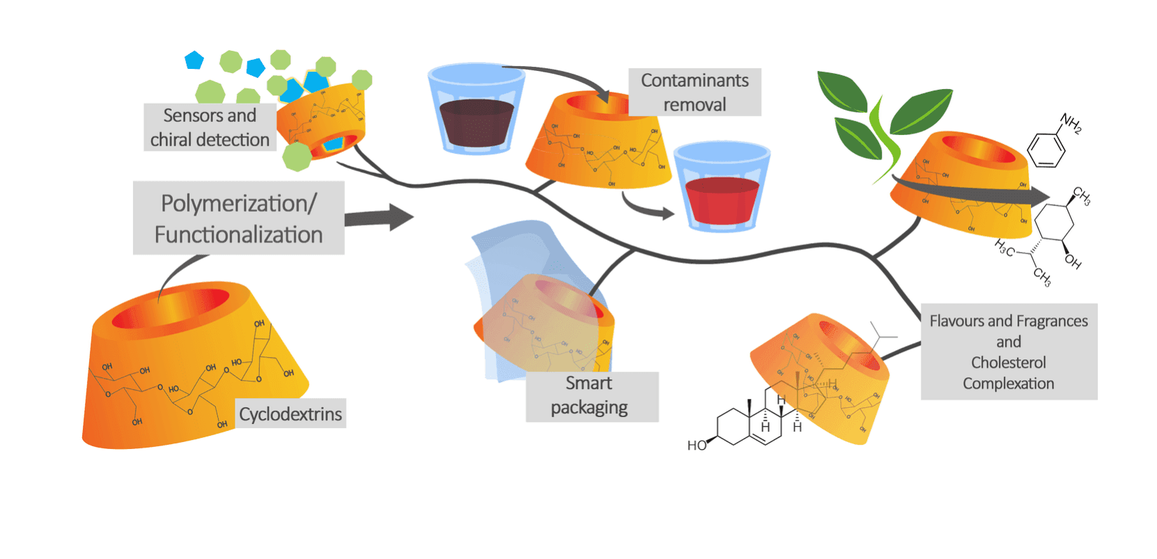 Cyclodextrin based polymers for food related applications